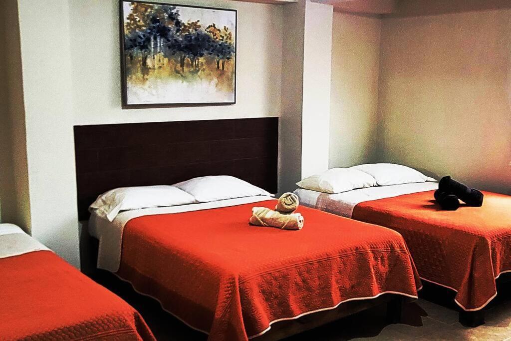 Апартаменты Loft Centrico 3 Camas Matrimoniales,Aire Acondicionado, Parking Сьюдад-Вальес Экстерьер фото